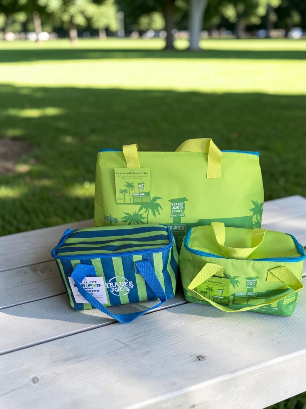TRADER JOE'S Large Insulated Bag & 2 Lunch Bags Set- Green